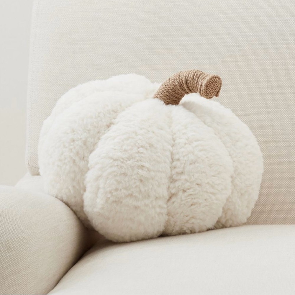 Pottery Barn White Pumpkin Accent Pillow